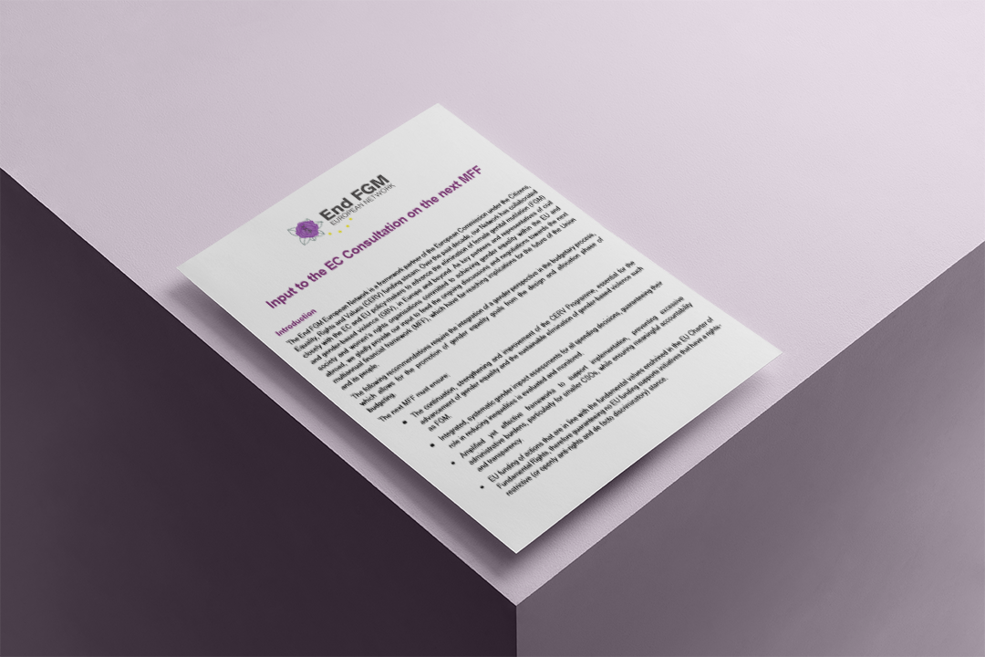 End FGM EU outlines its priorities to European Commission on the next ...