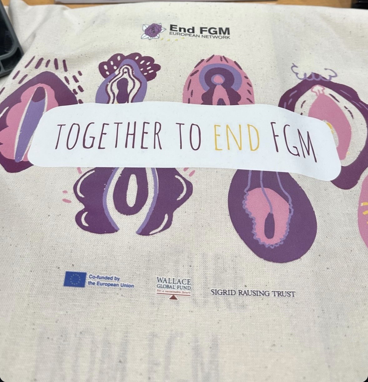 Celebrating a Decade of Action: End FGM European Network’s 10th ...