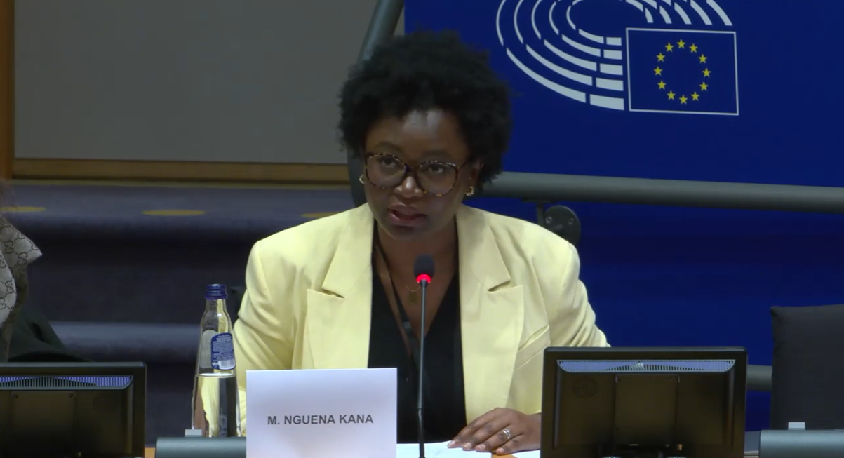 End FGM EU Participates in an Exchange of Views on FGM at the European ...