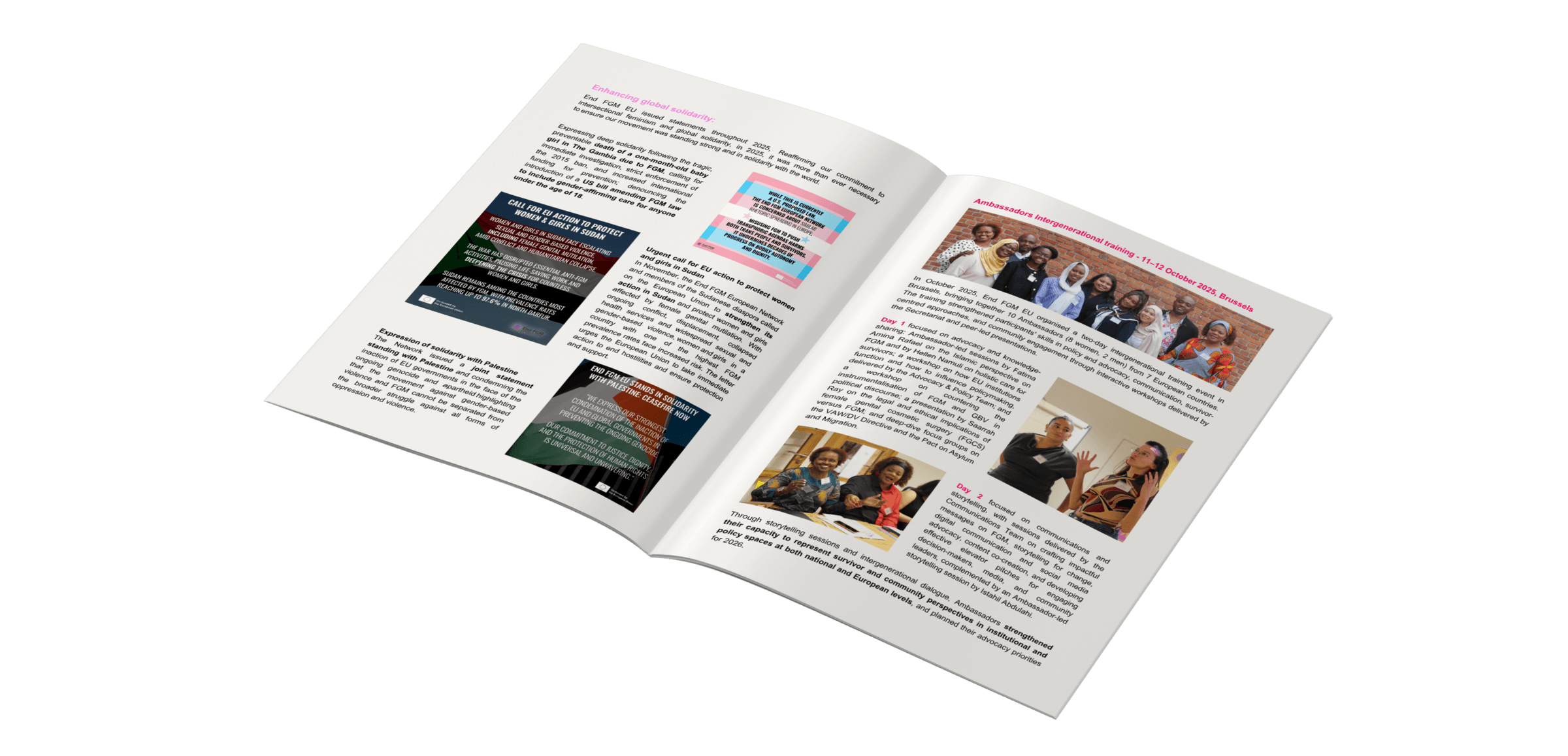 End FGM European Network launches its 2025 Impact Report | End FGM