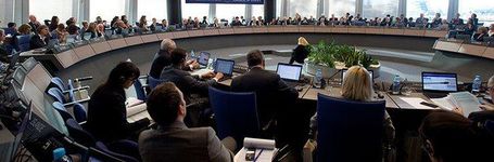 Council of Europe Committee of Ministers Calls for Effectively Preventing and Combating Female Genital Mutilation and Forced Marriage