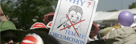 Egypt law fails to criminalise FGM performed by medics: report