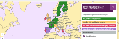 Launching the first Interactive Map on FGM Laws, Policies and Data in Europe