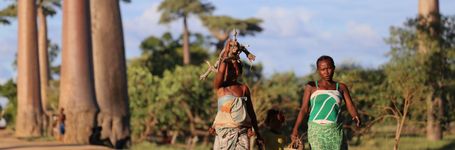 Female Genital Mutilation – Preserving Our Culture, Ending the Pain