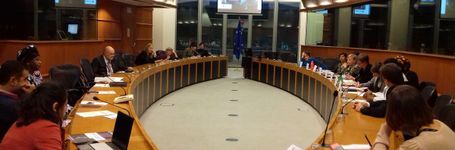 International Day of the Girl Child: End FGM European Network Organises Event in the European Parliament