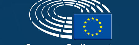European Parliament resolution on Zero Tolerance for FGM